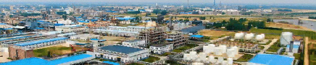 以品质铸口碑 用品牌赢市场|第二届山东绿色蔬菜产业博览会在聊城莘县开幕