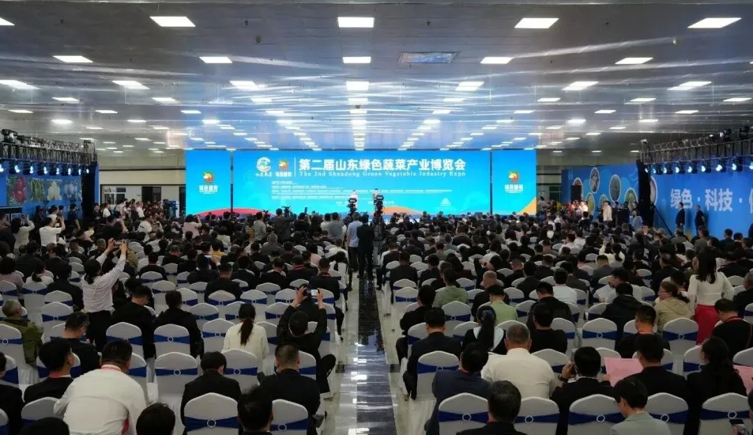 以品质铸口碑 用品牌赢市场|第二届山东绿色蔬菜产业博览会在聊城莘县开幕