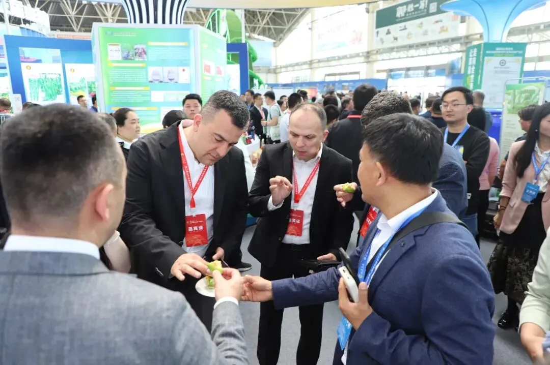 以品质铸口碑 用品牌赢市场|第二届山东绿色蔬菜产业博览会在聊城莘县开幕