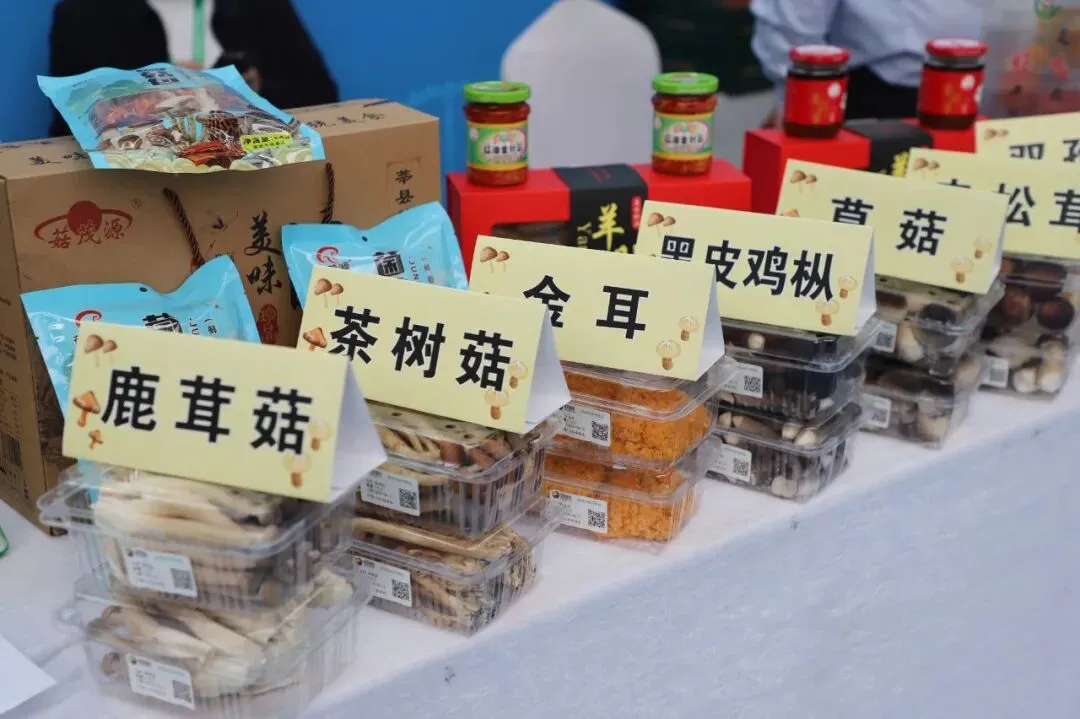 以品质铸口碑 用品牌赢市场|第二届山东绿色蔬菜产业博览会在聊城莘县开幕