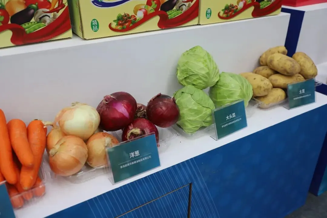 以品质铸口碑 用品牌赢市场|第二届山东绿色蔬菜产业博览会在聊城莘县开幕