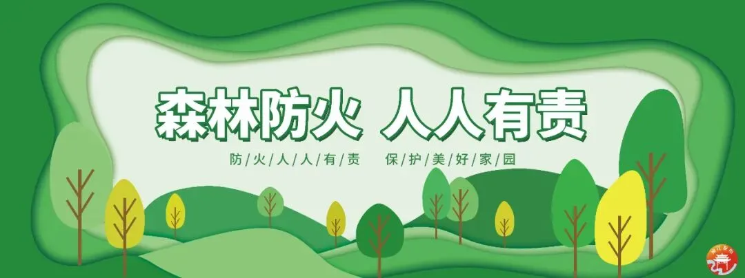 “街警联动”治乱,兴隆市场周边交通秩序焕新颜