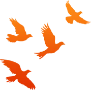 【国家安全教育月】罗田县市场监管局多形式开展国家安全日普法宣传