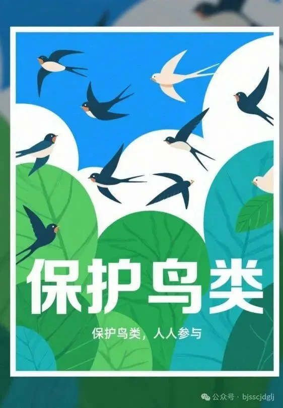 保护鸟类野生动物,市场监管在行动!