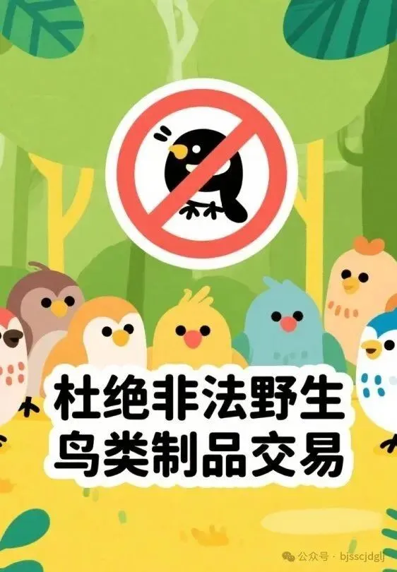 保护鸟类野生动物,市场监管在行动!
