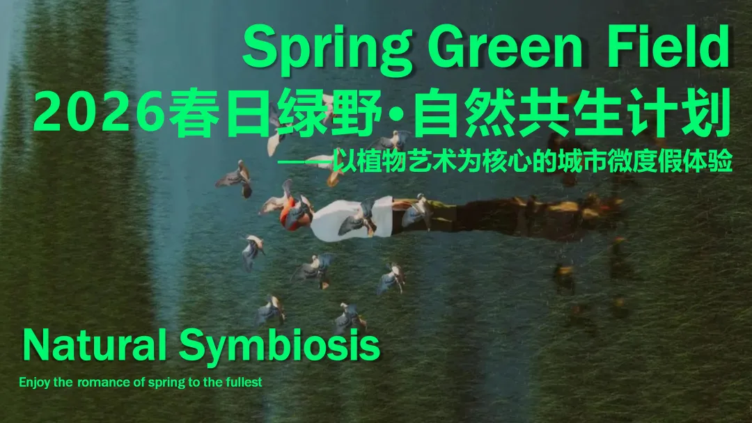 【品牌营销方案精选】| 2025有道翻译机跨境电商海外市场公关传播方案-79P