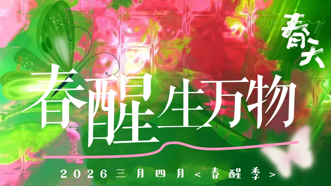 【品牌营销方案精选】| 2025有道翻译机跨境电商海外市场公关传播方案-79P