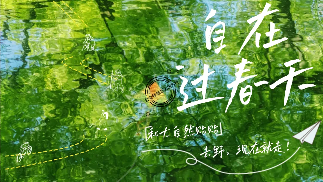 【品牌营销方案精选】| 2025有道翻译机跨境电商海外市场公关传播方案-79P