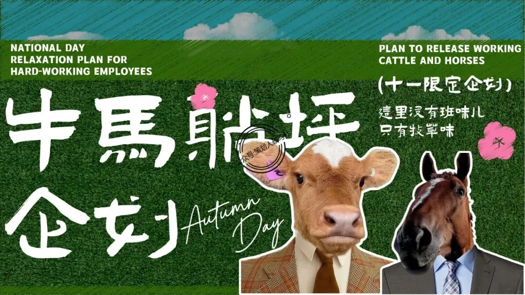 【品牌营销方案精选】| 2025有道翻译机跨境电商海外市场公关传播方案-79P