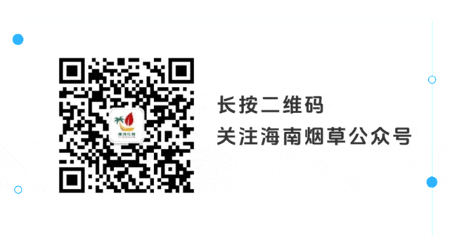 清源断链!五指山多部门联手整治卷烟市场