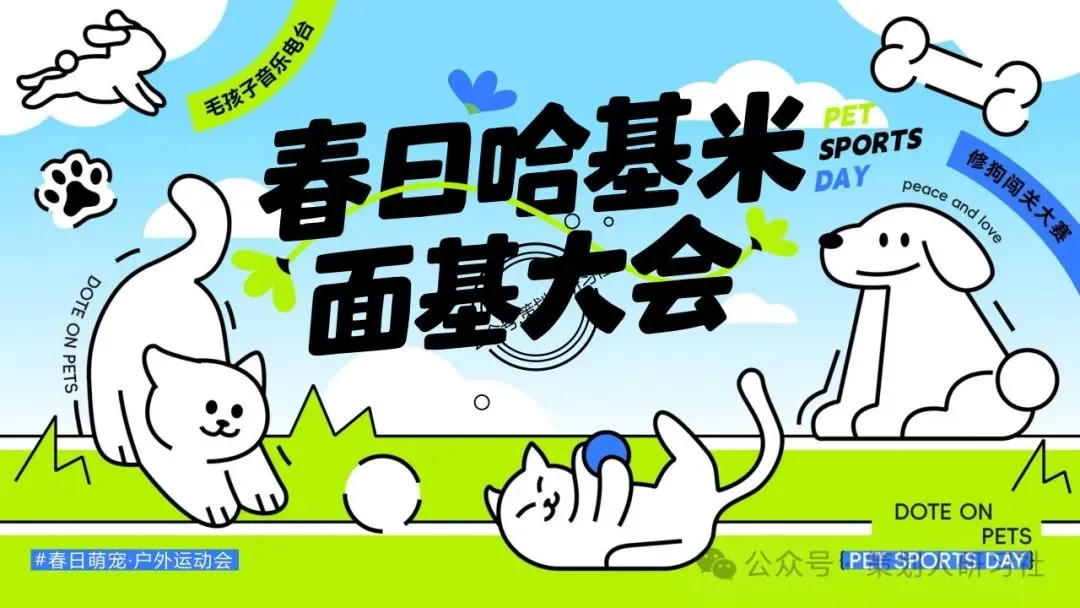 【品牌营销方案精选】| 2025有道翻译机跨境电商海外市场公关传播方案-79P