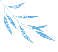 从课堂到市场 | 学生毕业创作作品版权售出!