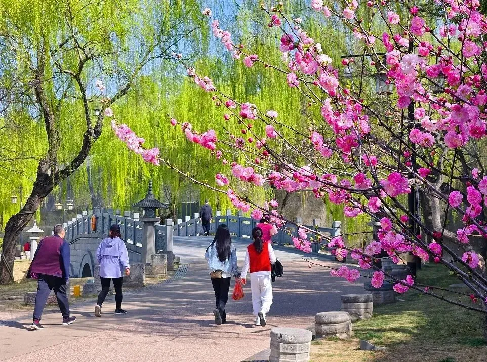 2026年中国图书出版区域市场解析:出版机构如何借区域差异破局突围