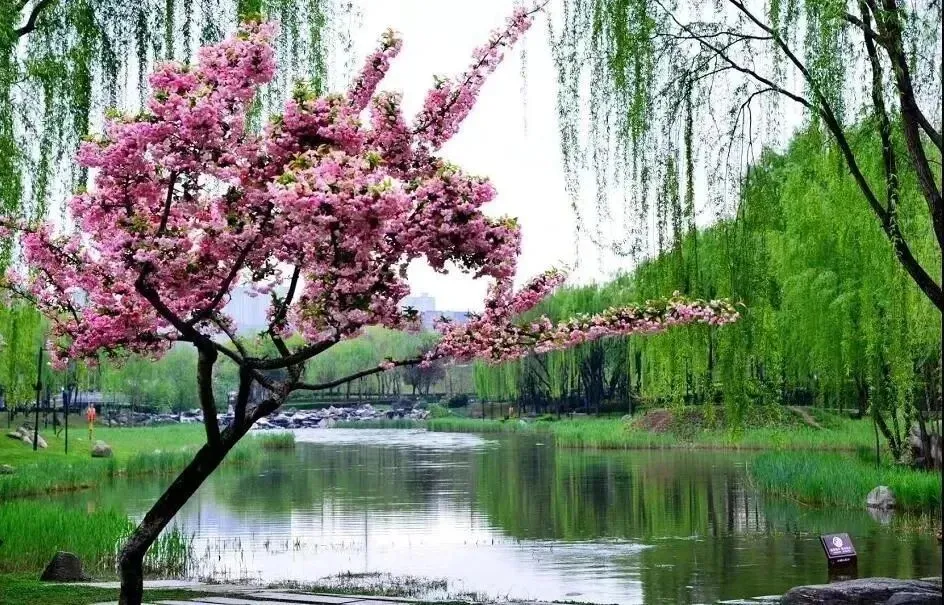 2026年中国图书出版区域市场解析:出版机构如何借区域差异破局突围