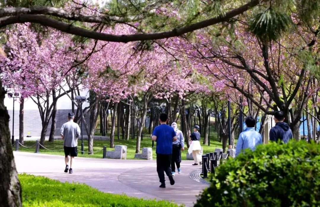 2026年中国图书出版区域市场解析:出版机构如何借区域差异破局突围