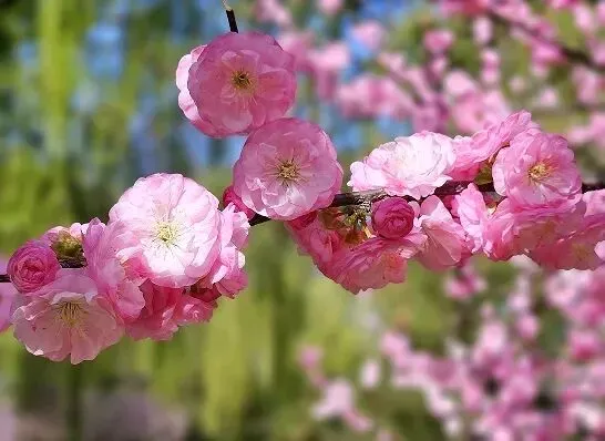 2026年中国图书出版区域市场解析:出版机构如何借区域差异破局突围