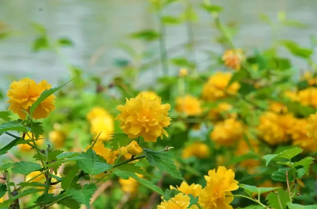 2026年中国图书出版区域市场解析:出版机构如何借区域差异破局突围