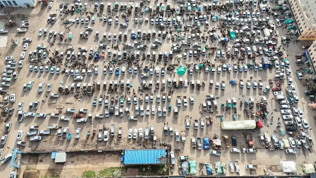 2026年4月16日岷县中药材市场快讯(当归饮片走货缓,成交价格不高)