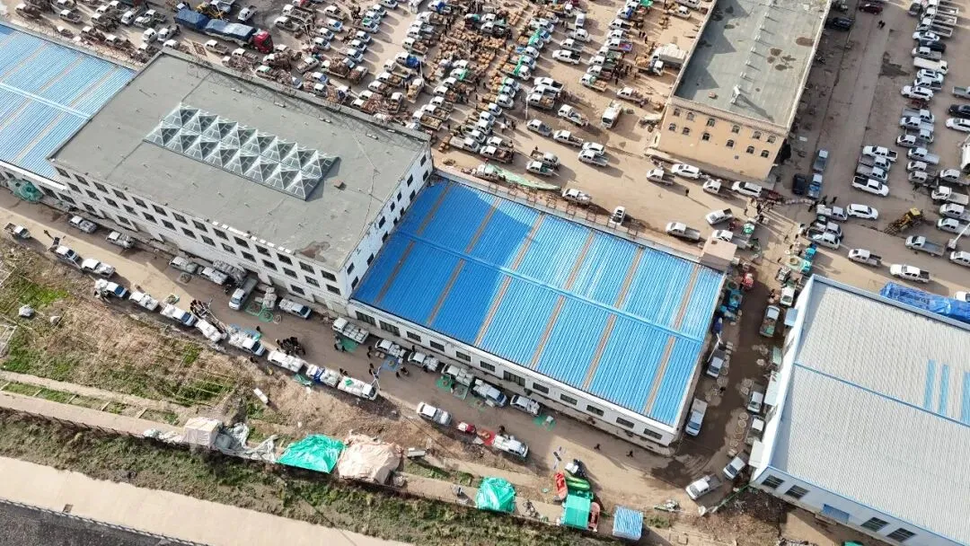 2026年4月16日岷县中药材市场快讯(当归饮片走货缓,成交价格不高)