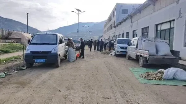 2026年4月16日岷县中药材市场快讯(当归饮片走货缓,成交价格不高)