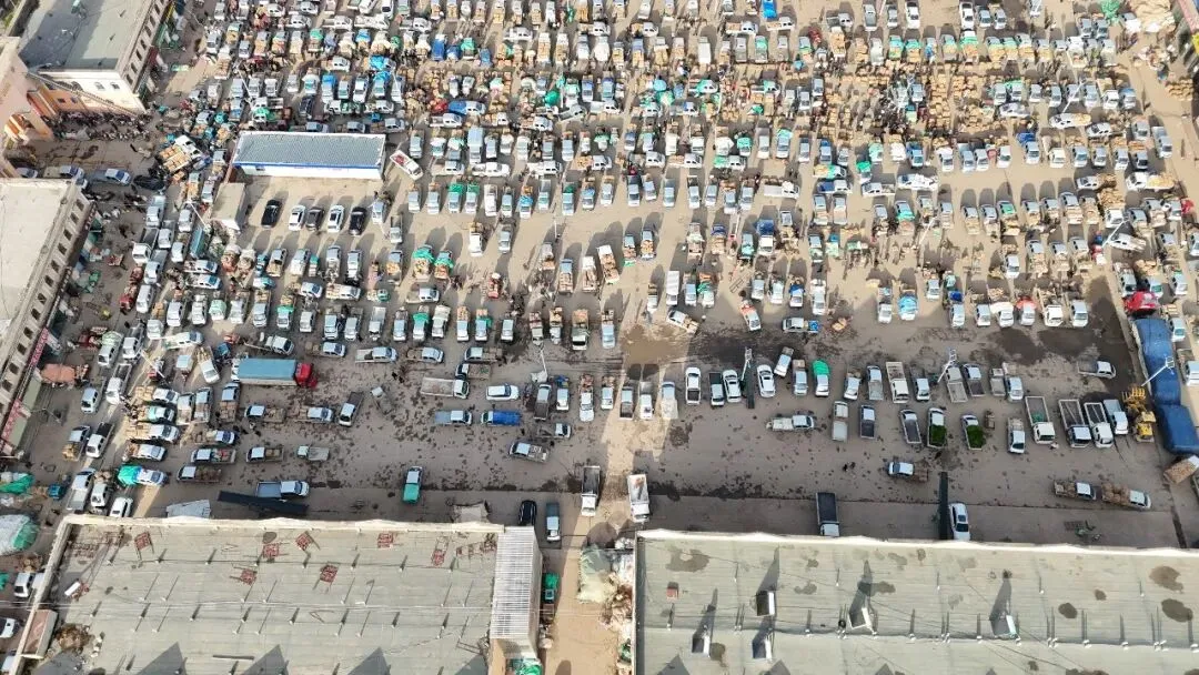 2026年4月16日岷县中药材市场快讯(当归饮片走货缓,成交价格不高)