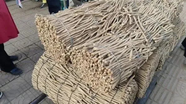 2026年4月16日岷县中药材市场快讯(当归饮片走货缓,成交价格不高)