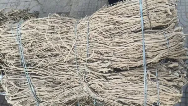 2026年4月16日岷县中药材市场快讯(当归饮片走货缓,成交价格不高)