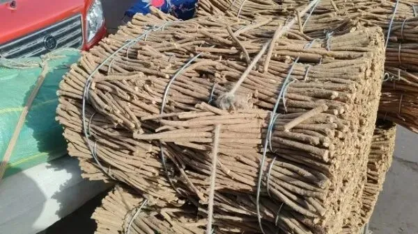 2026年4月16日岷县中药材市场快讯(当归饮片走货缓,成交价格不高)