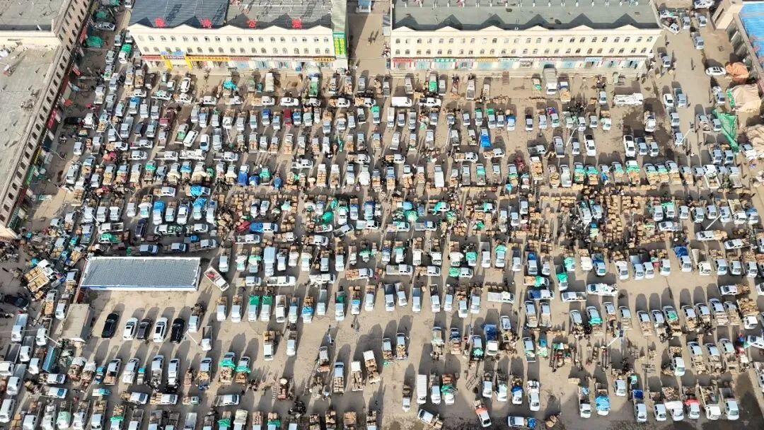 2026年4月16日岷县中药材市场快讯(当归饮片走货缓,成交价格不高)