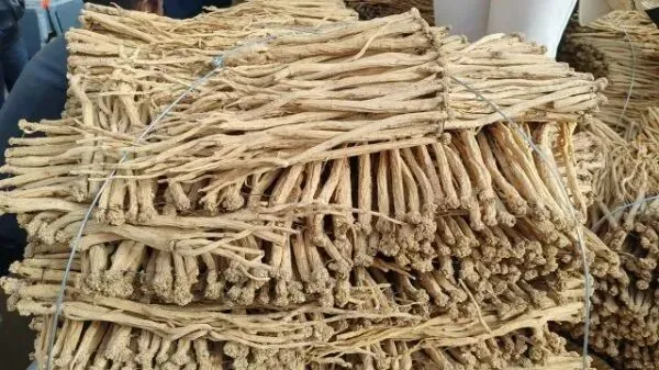 2026年4月16日岷县中药材市场快讯(当归饮片走货缓,成交价格不高)