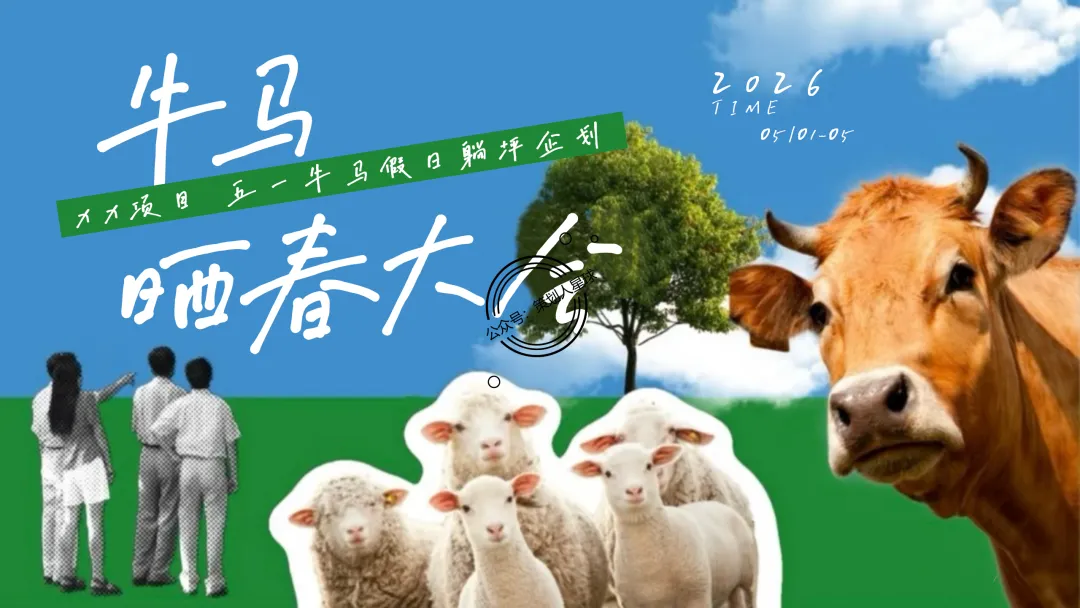「品牌营销方案推荐」2025有道翻译机跨境电商海外市场公关传播方案-79P