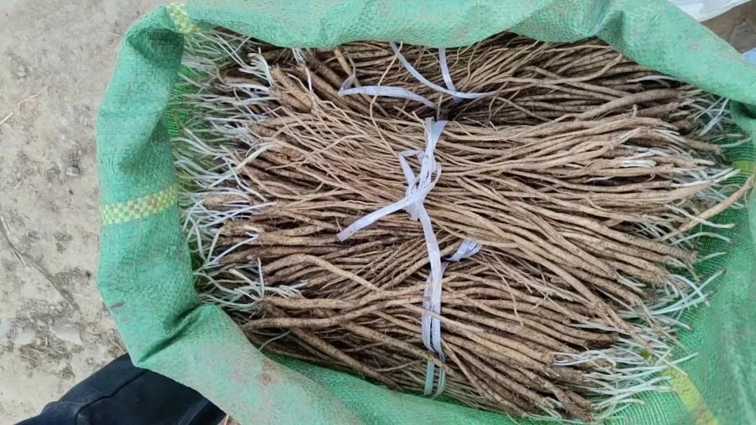 2026年4月16日岷县中药材市场快讯(当归饮片走货缓,成交价格不高)