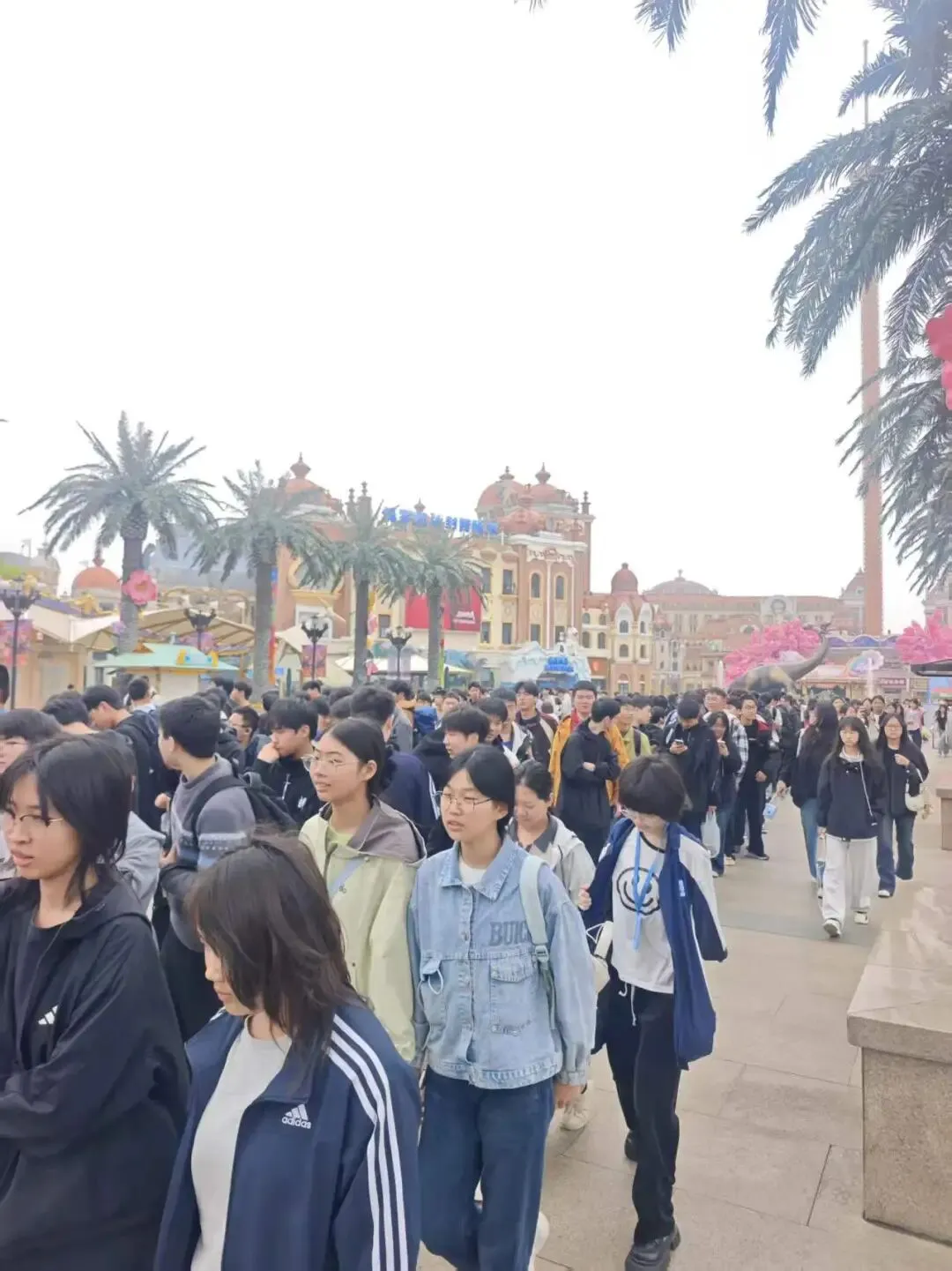 春日研学正当时!途居露营南通营地发力新市场