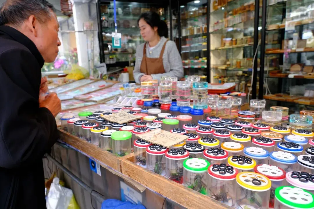 最后的岚灵花鸟市场