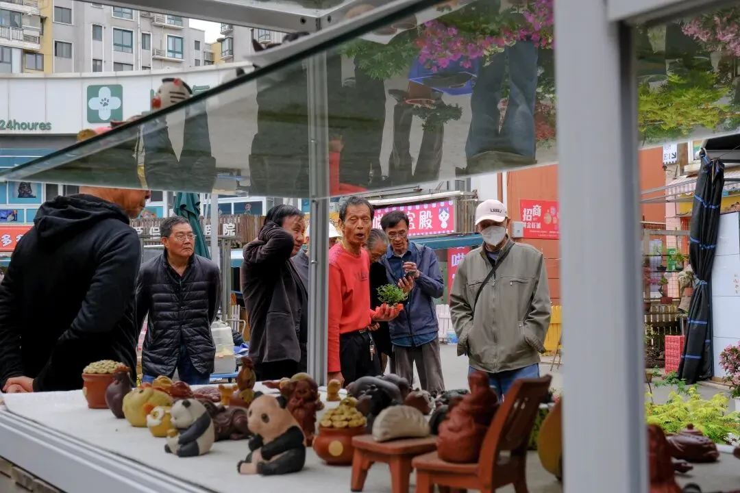 最后的岚灵花鸟市场