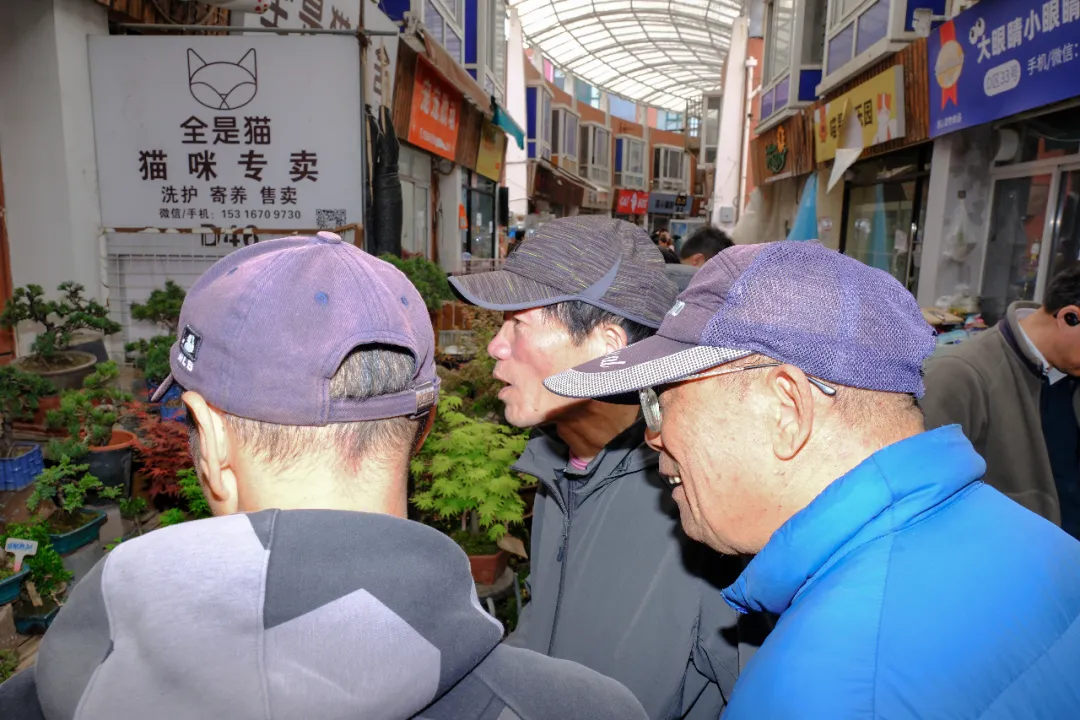 最后的岚灵花鸟市场