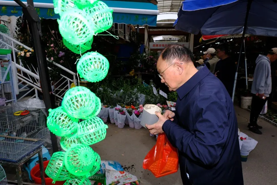 最后的岚灵花鸟市场