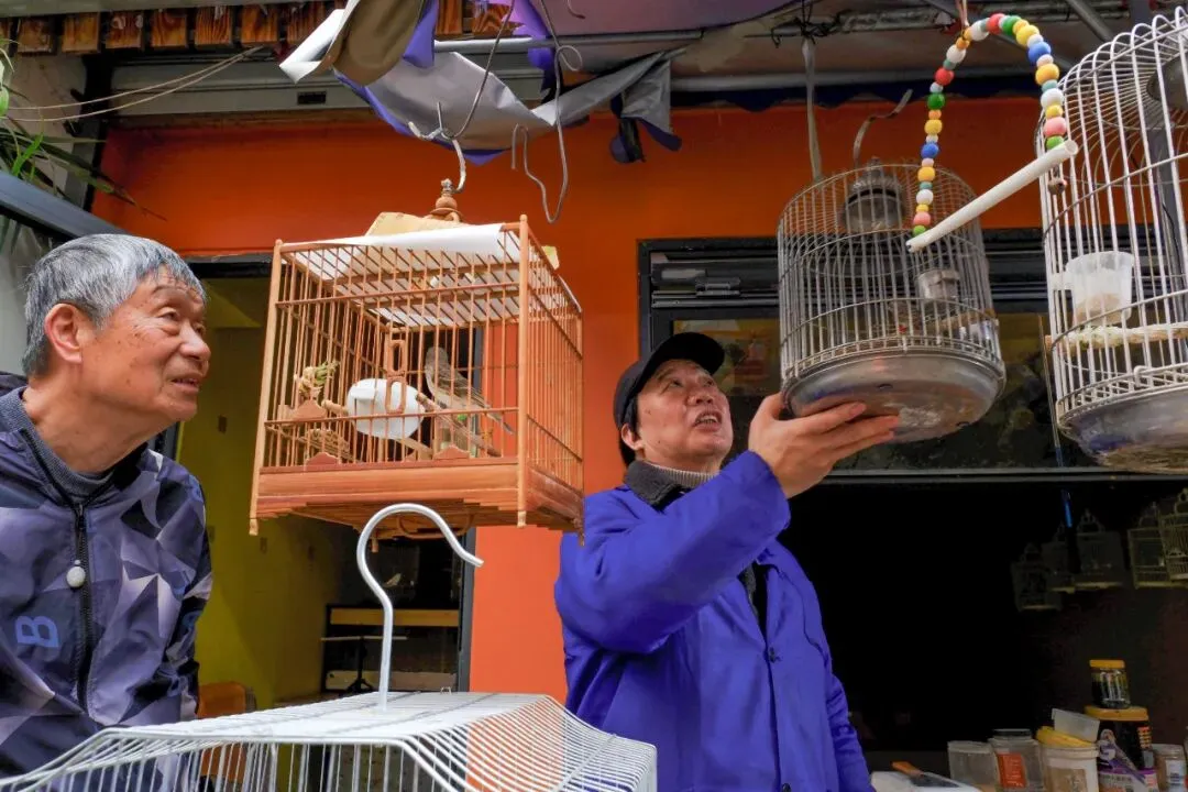 最后的岚灵花鸟市场