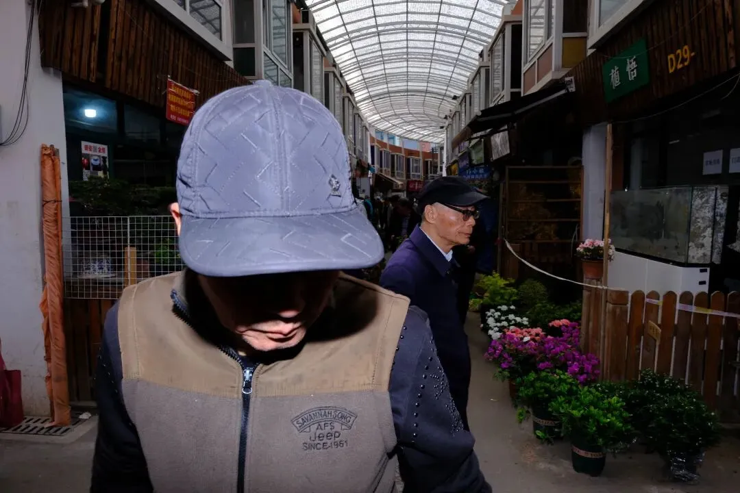 最后的岚灵花鸟市场