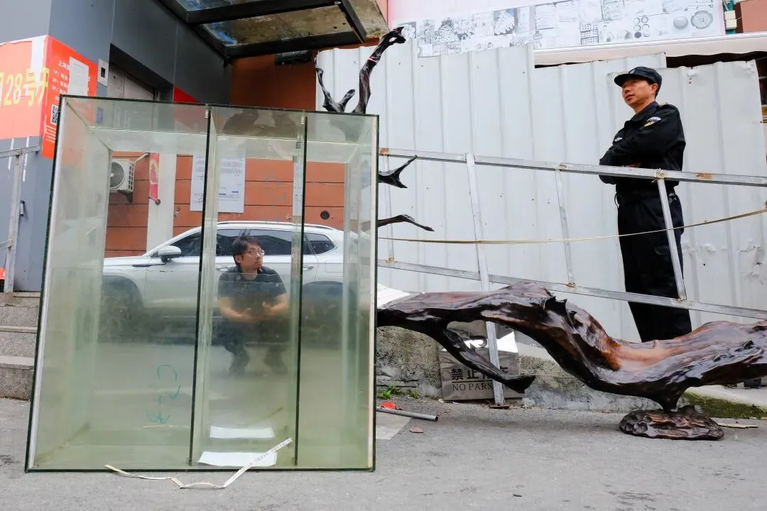 最后的岚灵花鸟市场