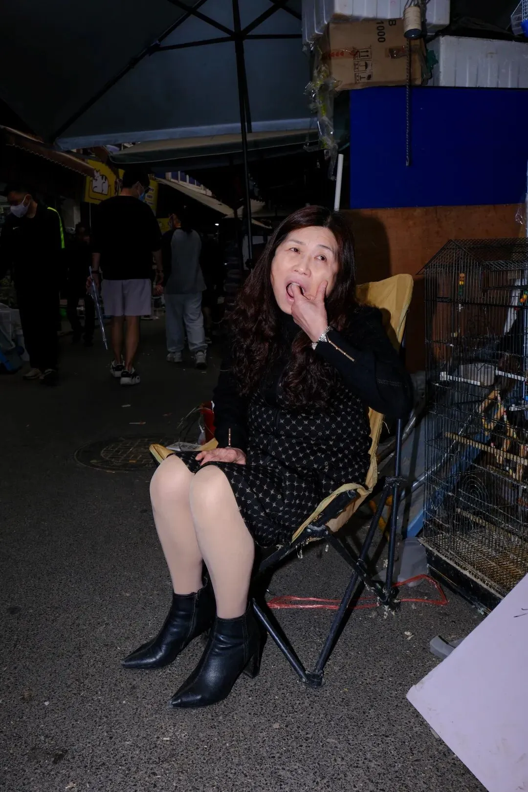 最后的岚灵花鸟市场