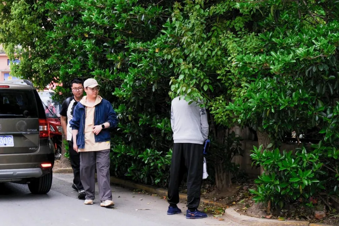 最后的岚灵花鸟市场