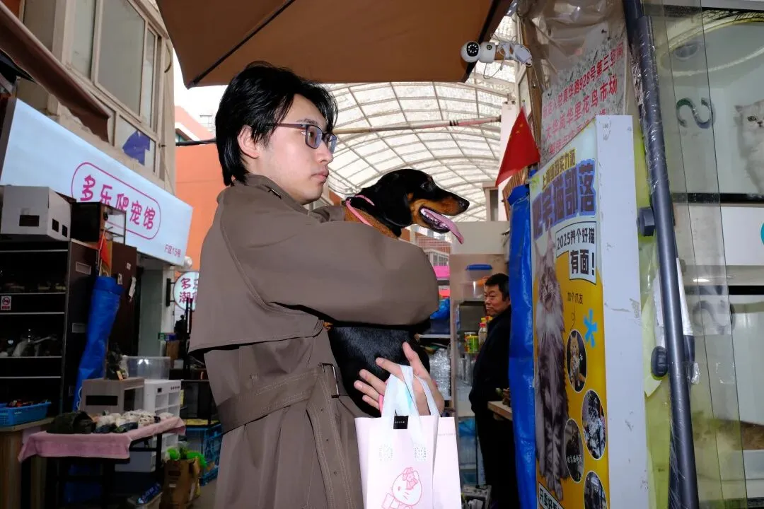最后的岚灵花鸟市场