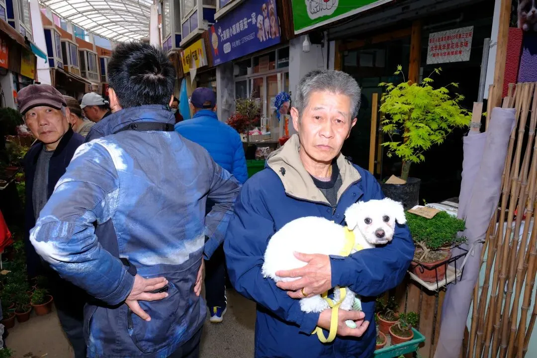 最后的岚灵花鸟市场