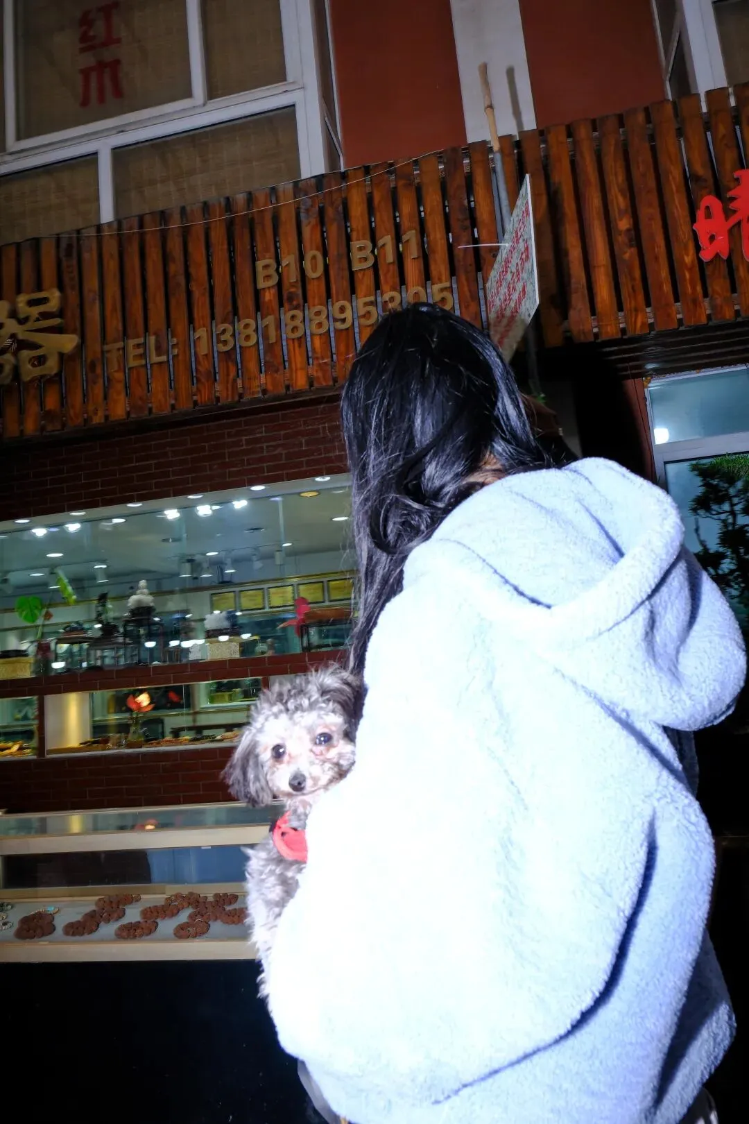 最后的岚灵花鸟市场