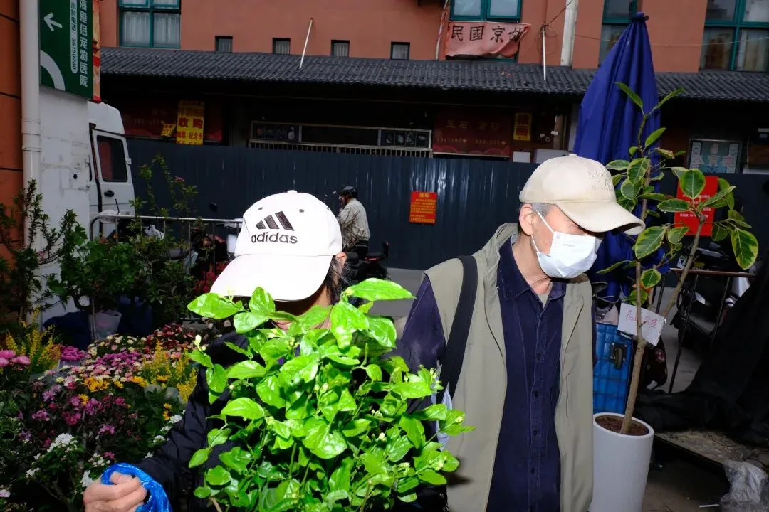 最后的岚灵花鸟市场