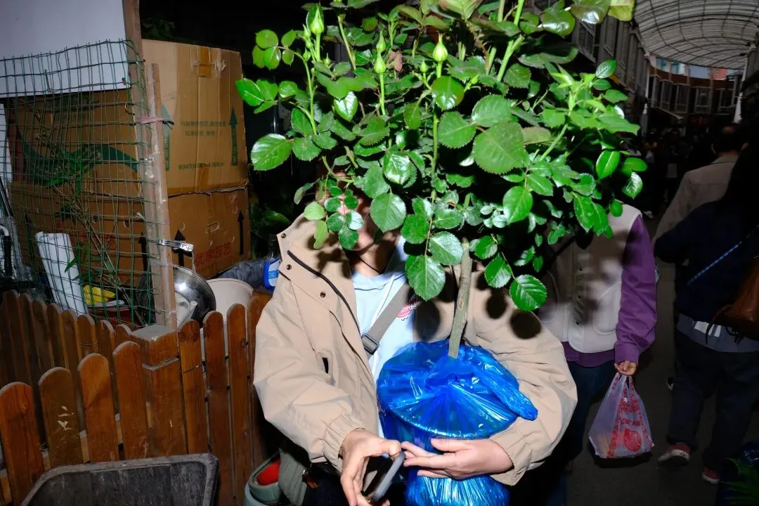 最后的岚灵花鸟市场