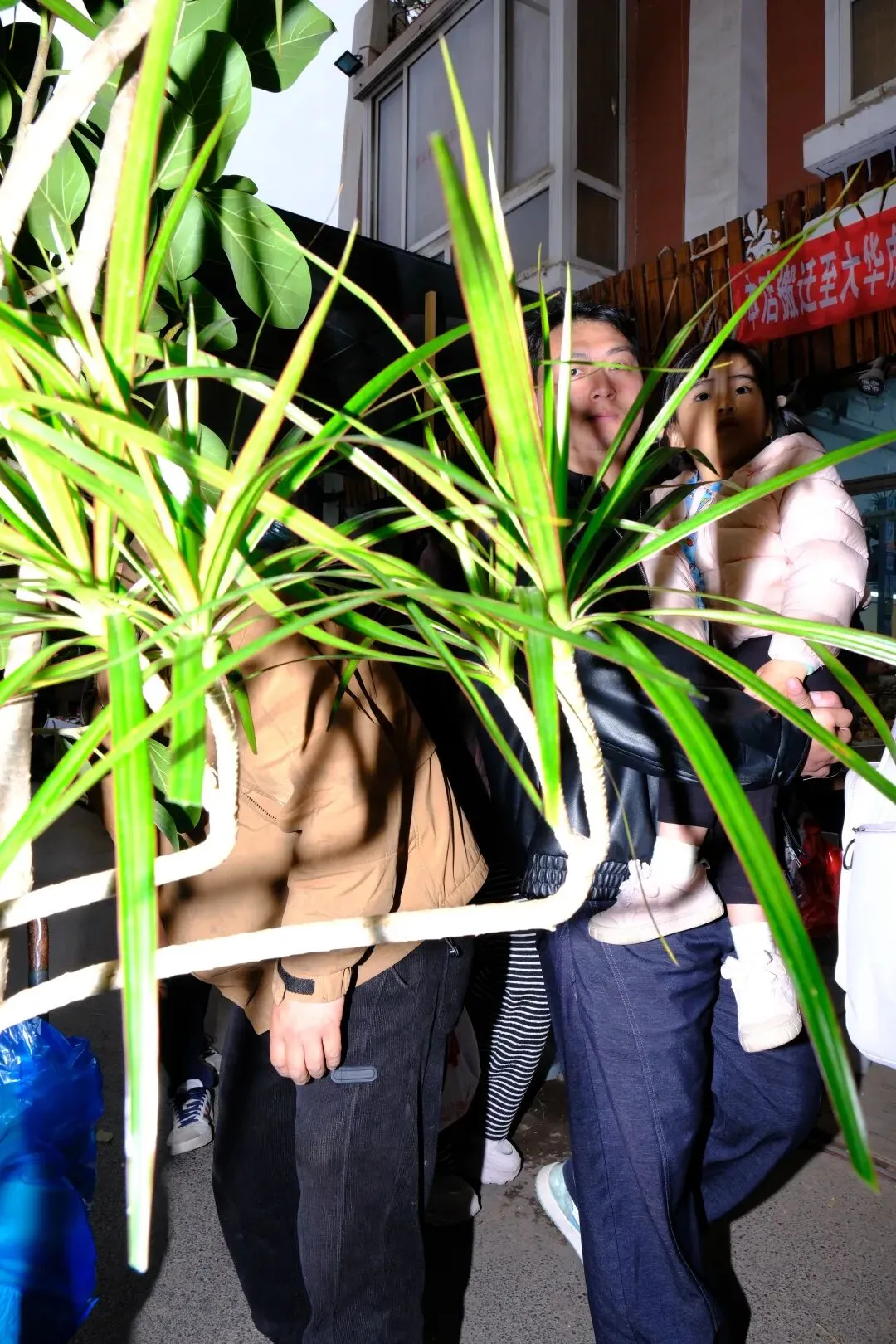 最后的岚灵花鸟市场