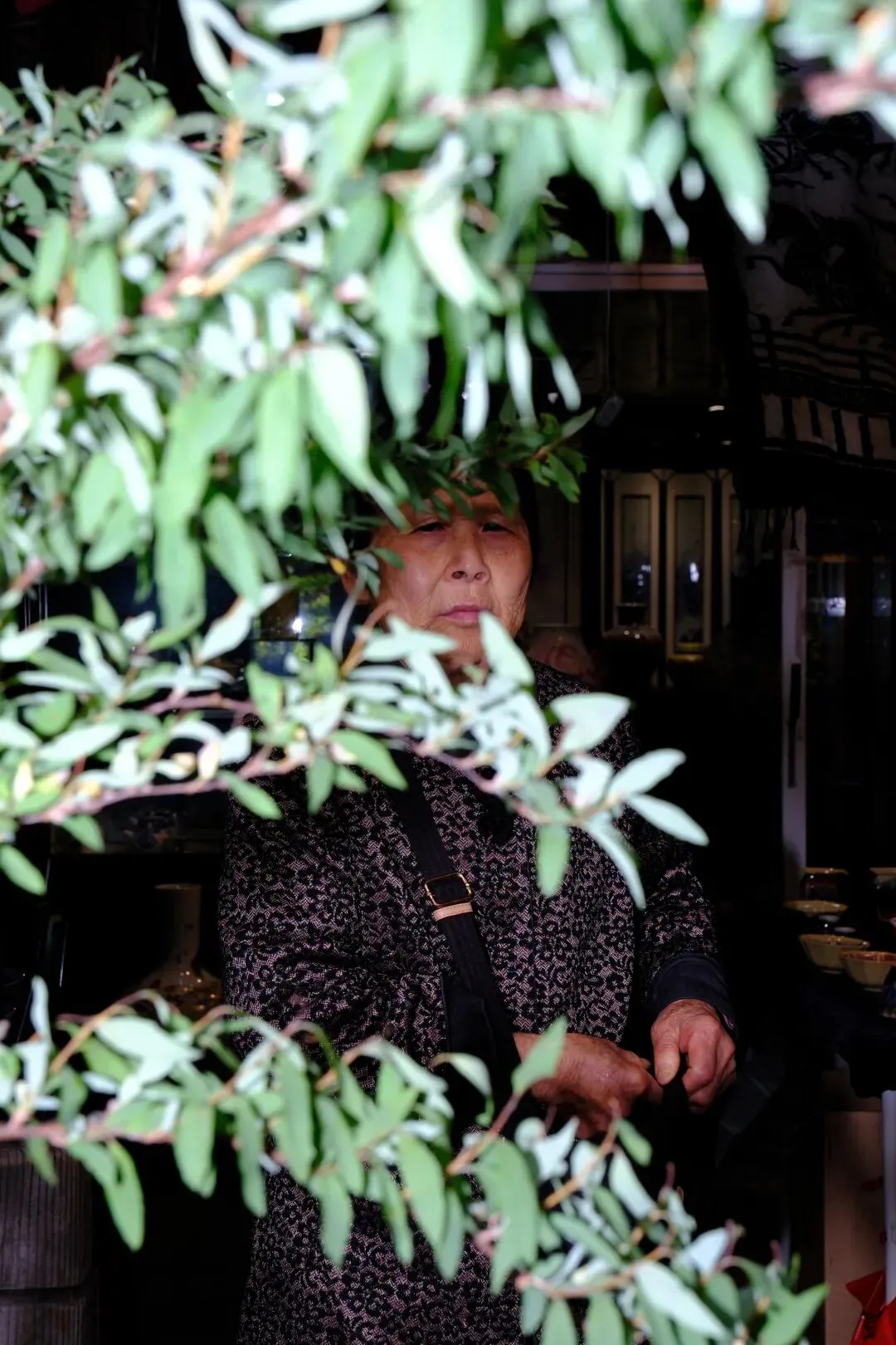 最后的岚灵花鸟市场