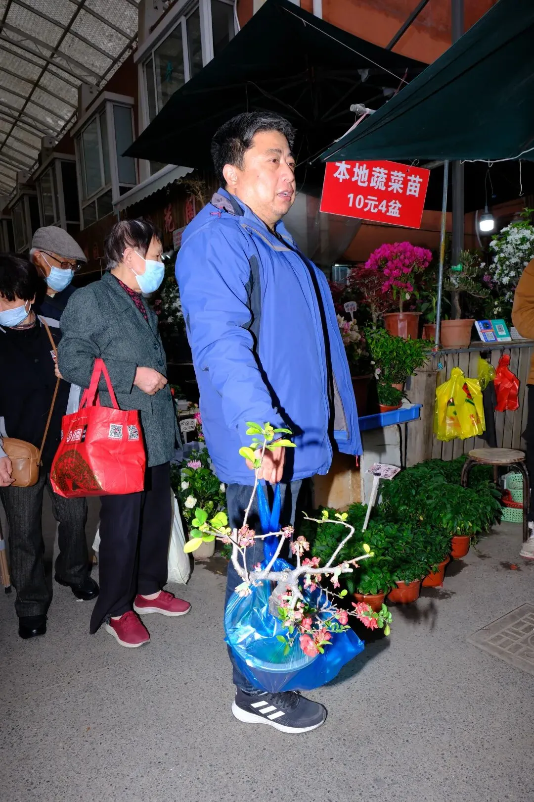 最后的岚灵花鸟市场